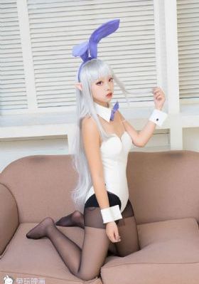精装追女仔_HD免费在线观看